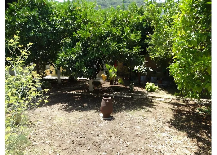 Grapevine Appartamento Poros (Kefalonia)